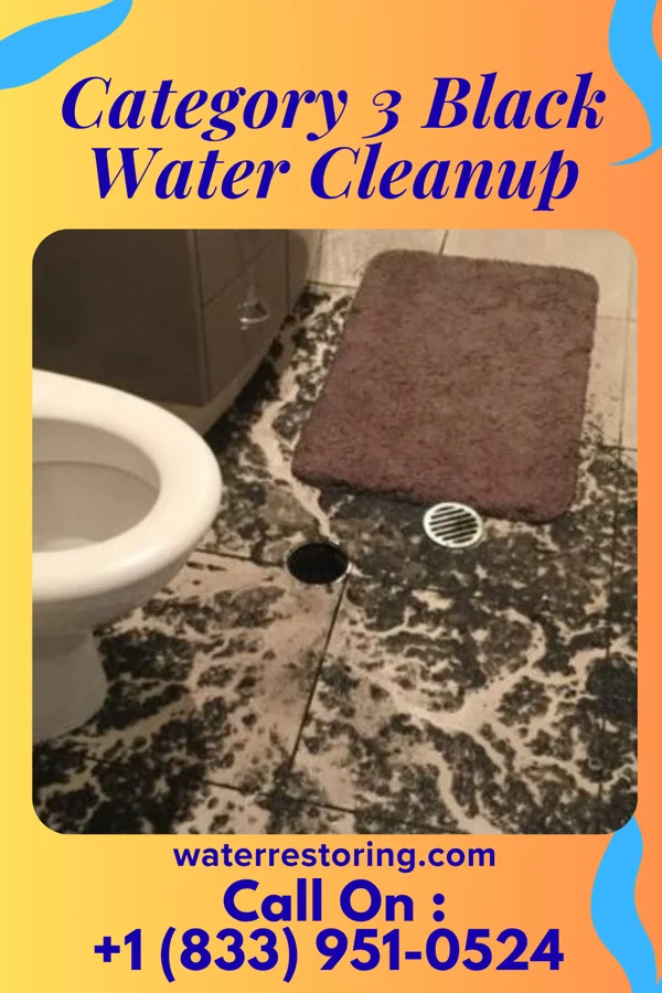 Category 3 Black Water Cleanup in Clay City, IN