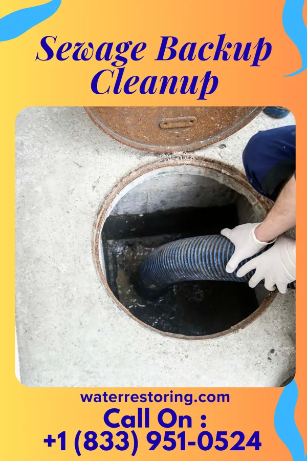 Sewage Backup Cleanup in Clay City, IN